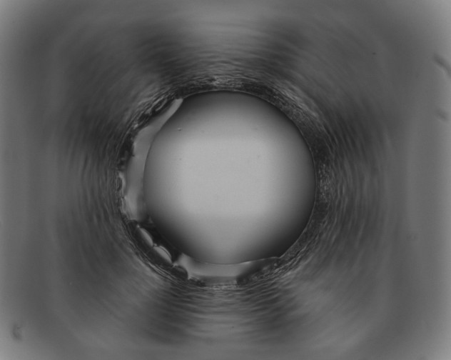 X0000091470748200709131752