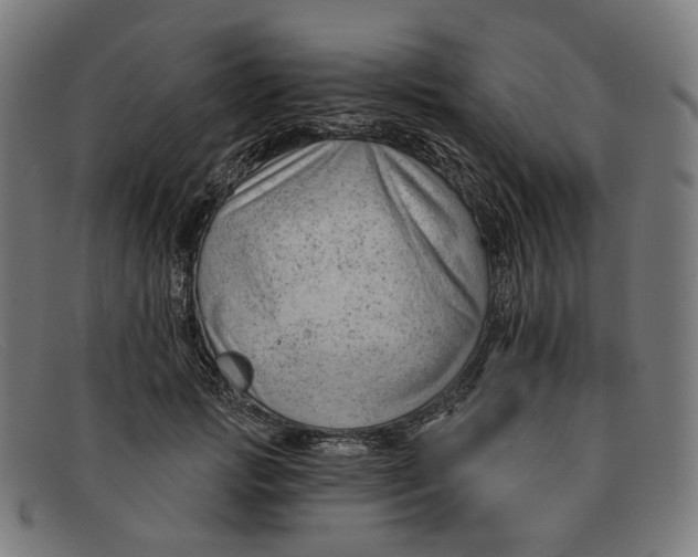 X0000091470749200709131752