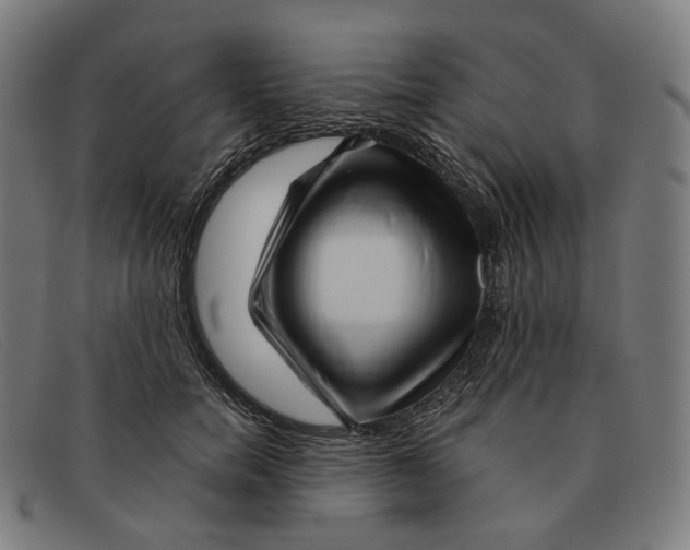 X0000091470750200709131752