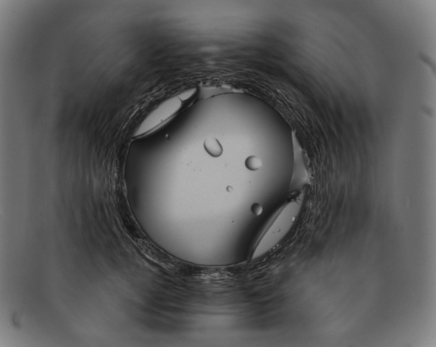 X0000091470752200709131752