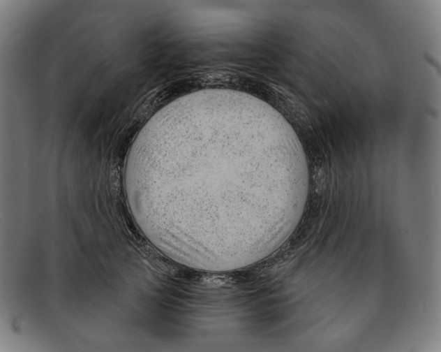 X0000091470753200709131752