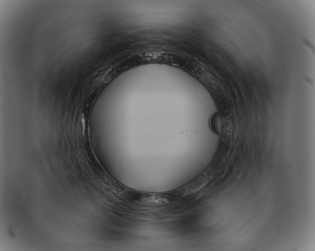 X0000091470754200709131752