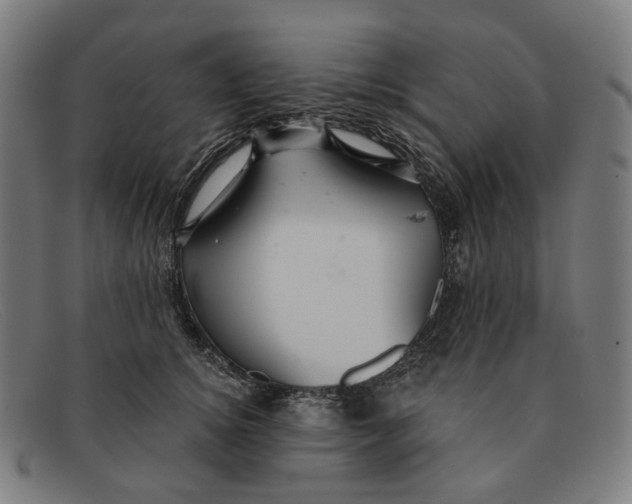 X0000091470756200709131752