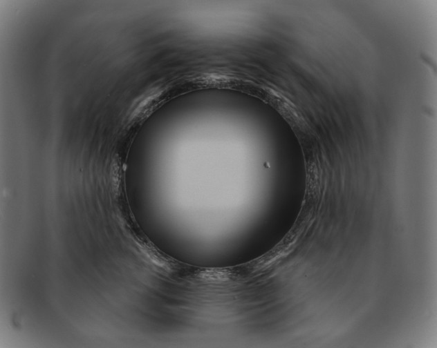 X0000091470762200709131752