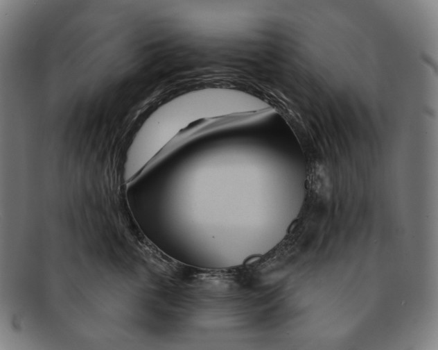 X0000091470763200709131752