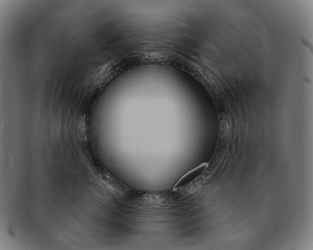 X0000091470764200709131752