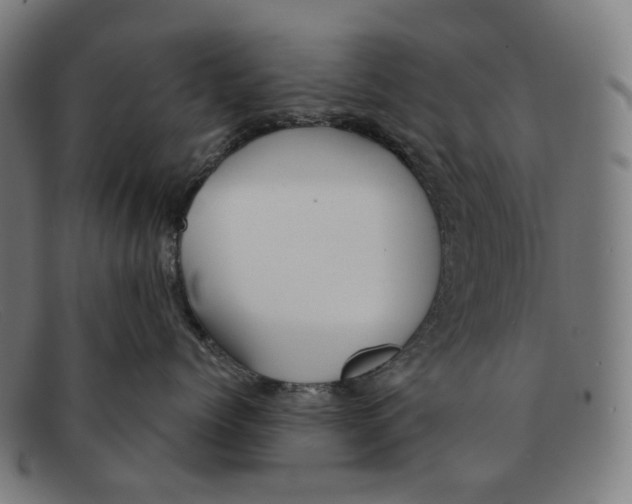 X0000091470768200709131752