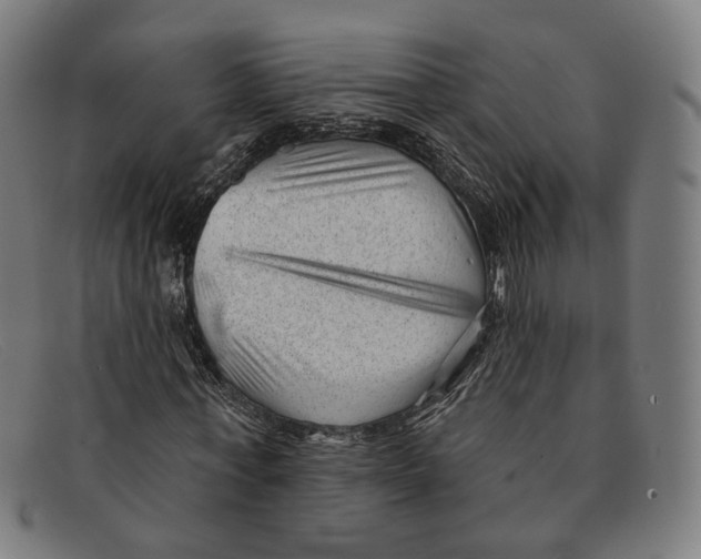 X0000091470771200709131752