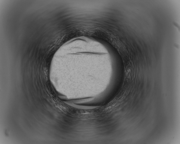 X0000091470772200709131752