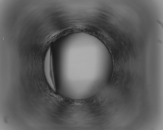 X0000091470773200709131752