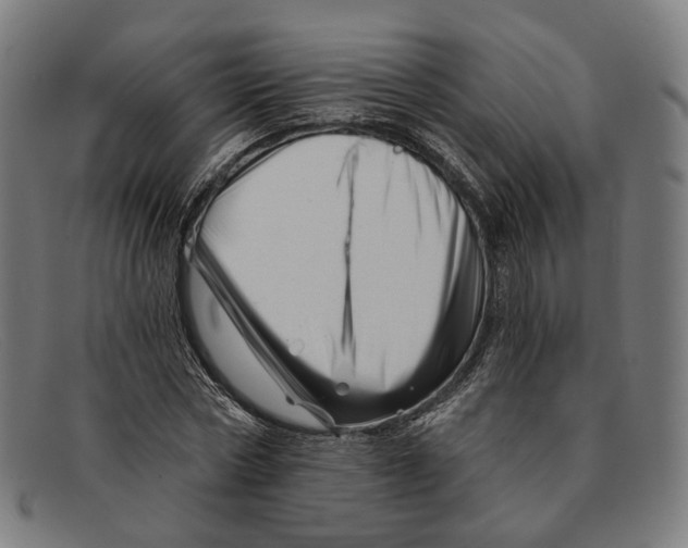 X0000091470778200709131752