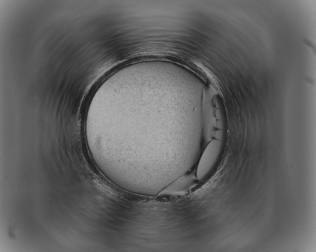 X0000091470779200709131752