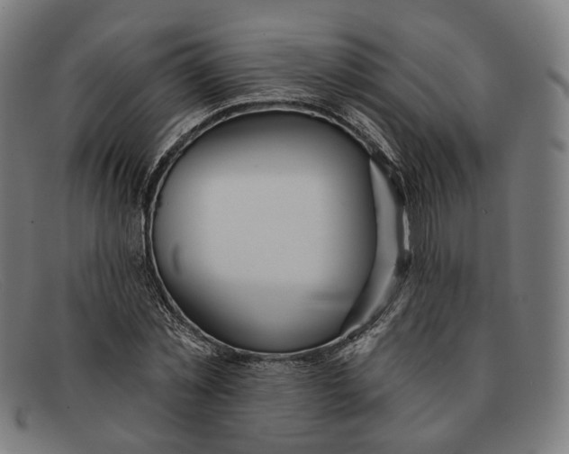 X0000091470781200709131752