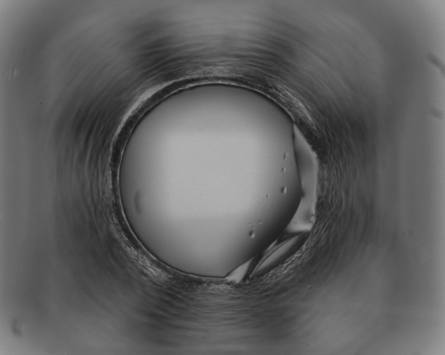 X0000091470784200709131751