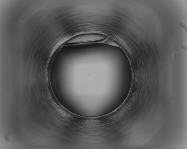 X0000091470789200709131751