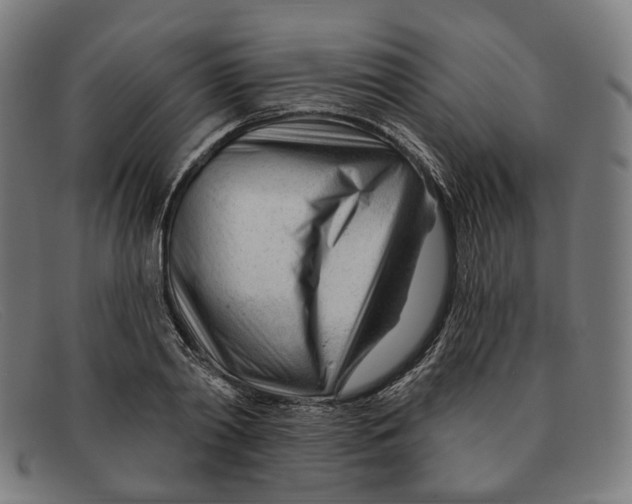 X0000091470790200709131751