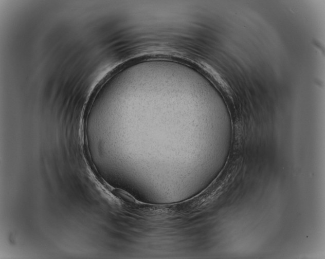 X0000091470791200709131751