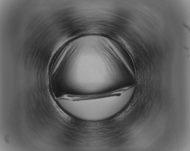 X0000091470795200709131751