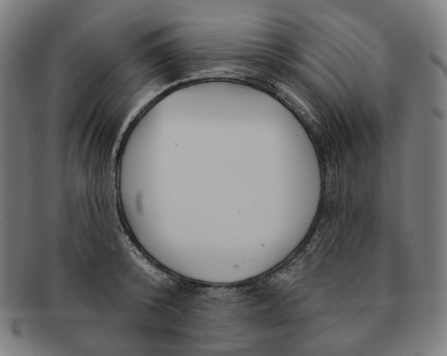 X0000091470800200709131751