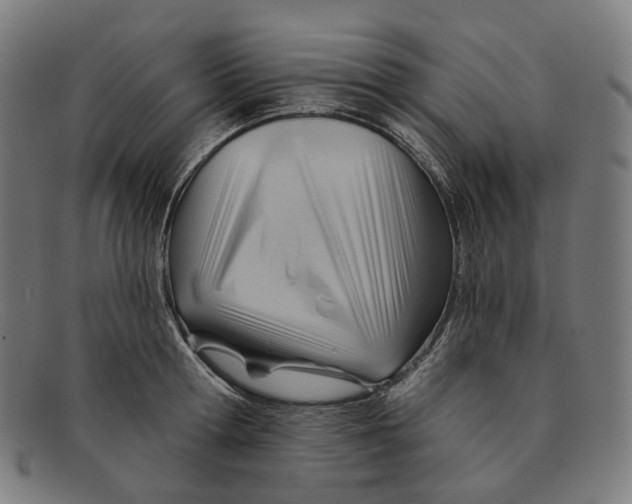 X0000091470802200709131751