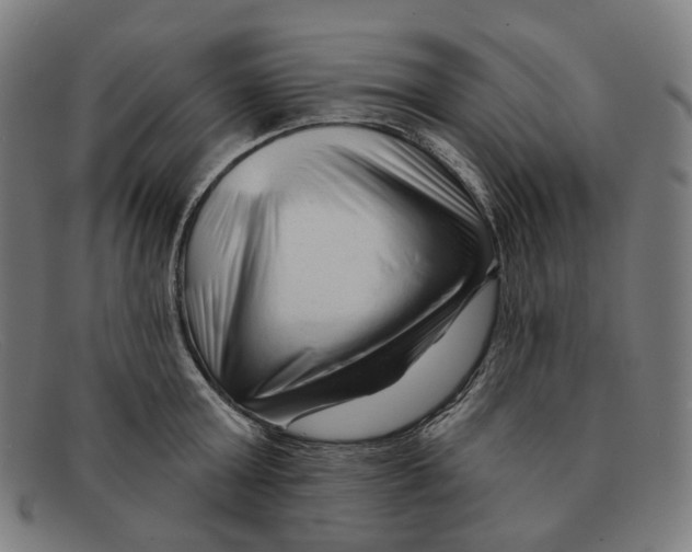 X0000091470803200709131751