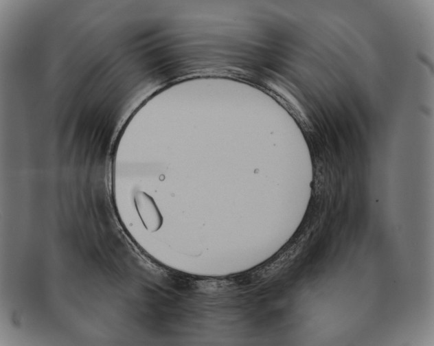 X0000091470804200709131751