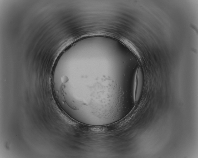 X0000091470805200709131751