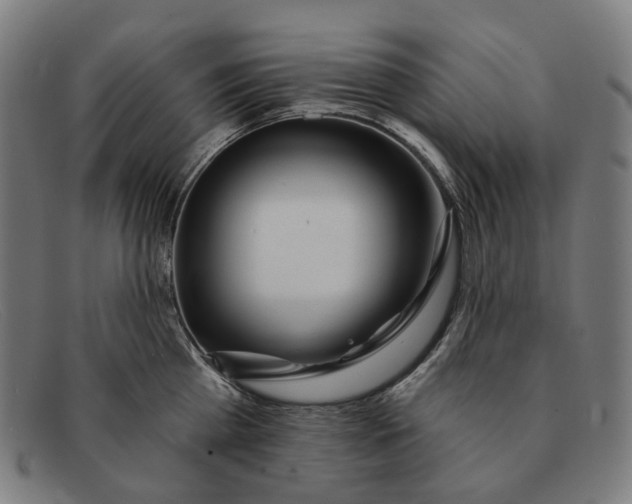 X0000091470809200709131751