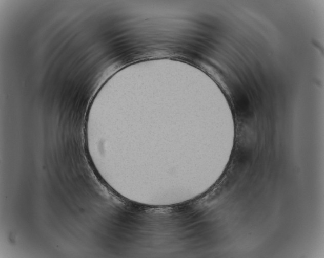 X0000091470810200709131751