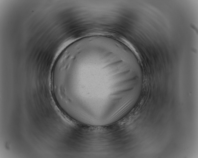 X0000091470811200709131751