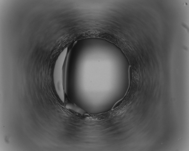 X0000091470818200709131751