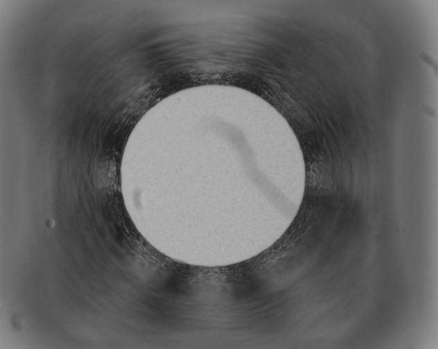 X0000091470820200709131751