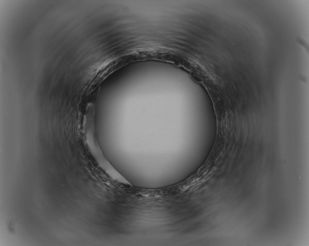 X0000091470822200709131751