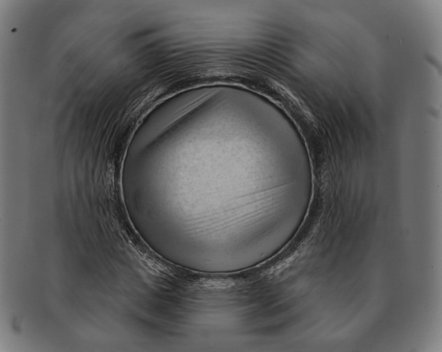 X0000091470825200709131751