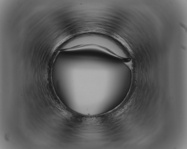 X0000091470826200709131751