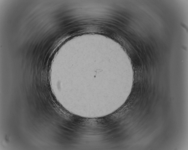 X0000091470828200709131751