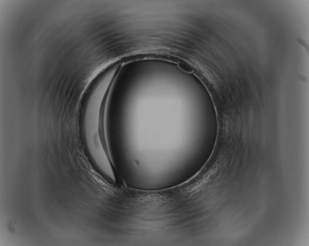 X0000091470830200709131751