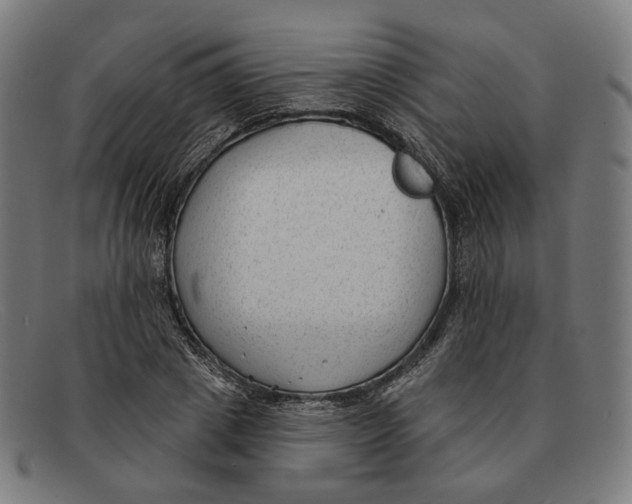 X0000091470833200709131751