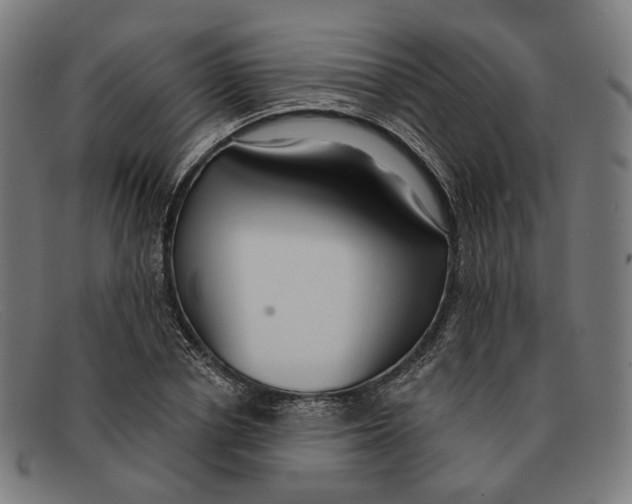 X0000091470834200709131751