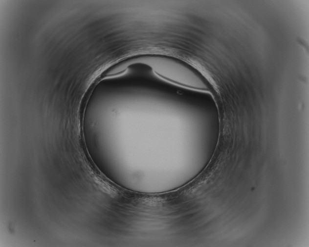 X0000091470837200709131751