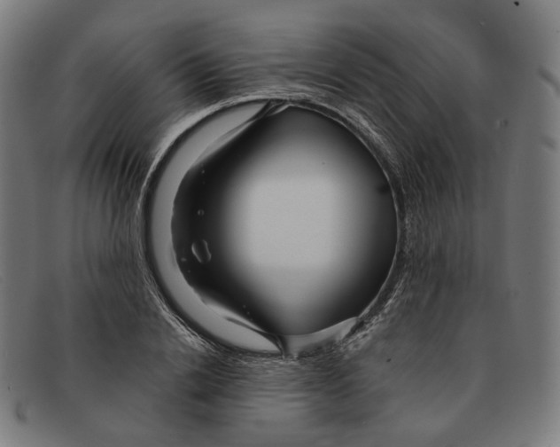 X0000091470838200709131751