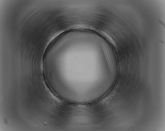 X0000091470839200709131751