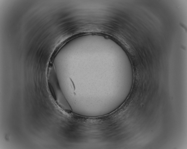 X0000091470840200709131751