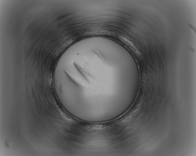 X0000091470841200709131751