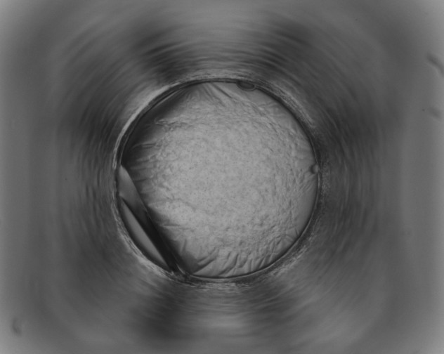 X0000091470844200709131751