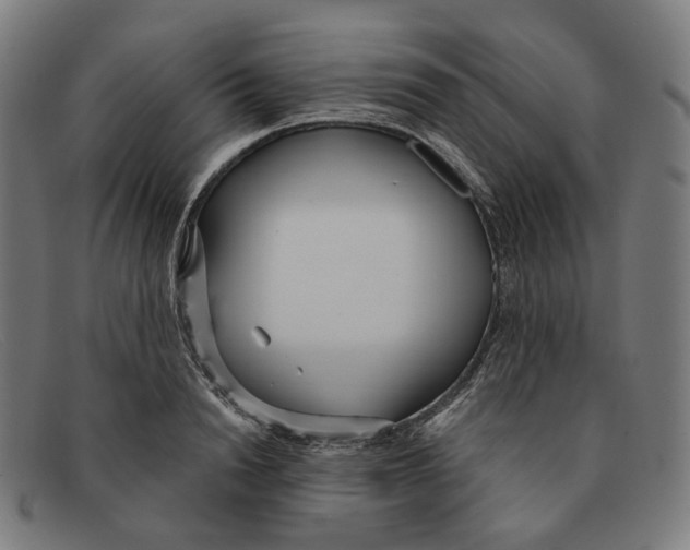 X0000091470846200709131751