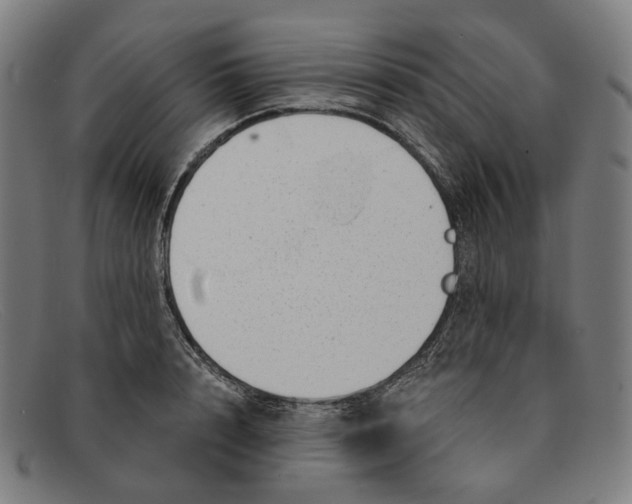 X0000091470848200709131751