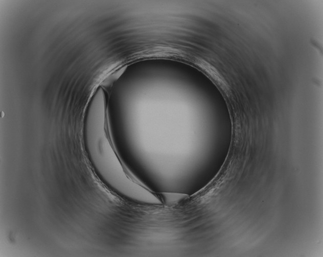 X0000091470850200709131751