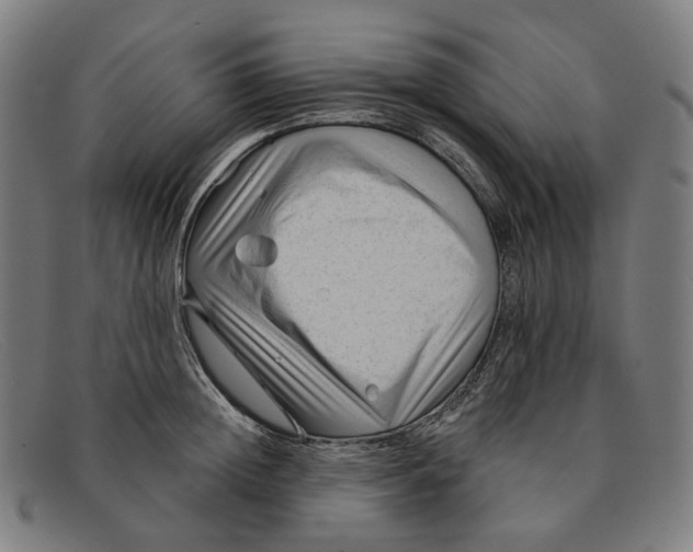 X0000091470852200709131751