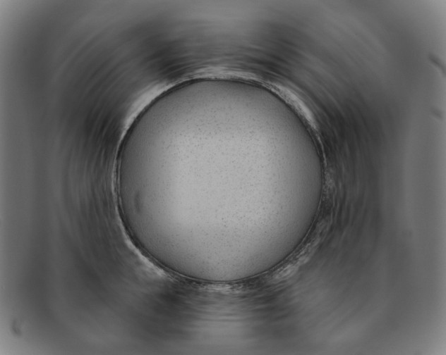 X0000091470855200709131751